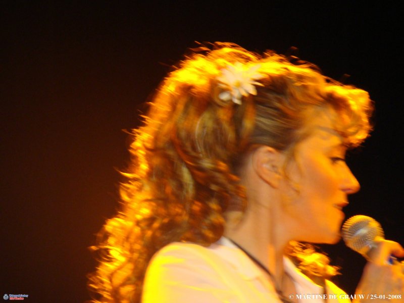 dsc00603.jpg