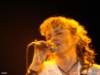 dsc00615_small.jpg