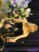 dsc01404_small.jpg