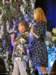 dsc01739_small.jpg