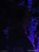dsc02278_small.jpg