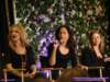 dsc04528_small.jpg