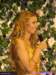dsc03725_small.jpg