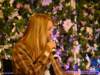 dsc04395_small.jpg