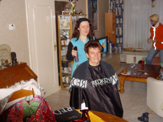 thehairdresser.jpg