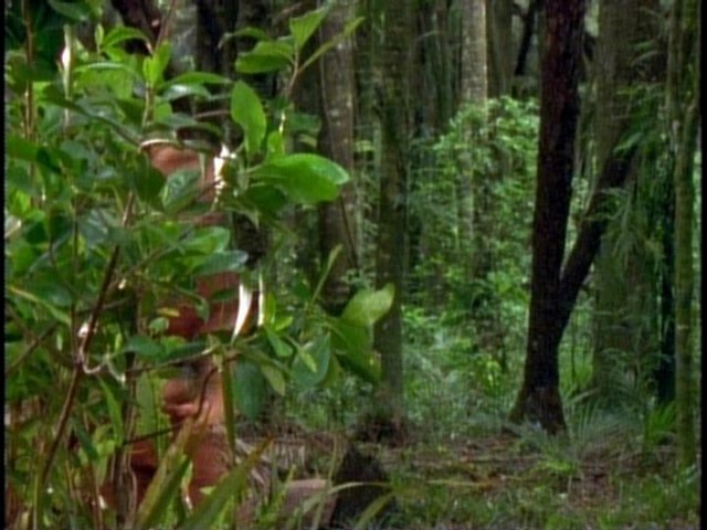 dvd_0002.jpg