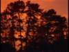 dvd_00064_small.jpg