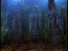 dvd_00065_small.jpg