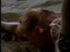 dvd_00041_small.jpg