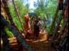 dvd_000138_small.jpg