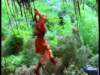 dvd_000151_small.jpg