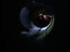 dvd_00058_small.jpg