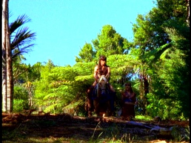 dvd_0001.jpg