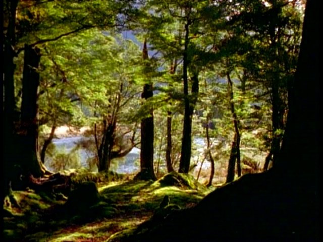 dvd_00079.jpg