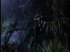 dvd_00051_small.jpg