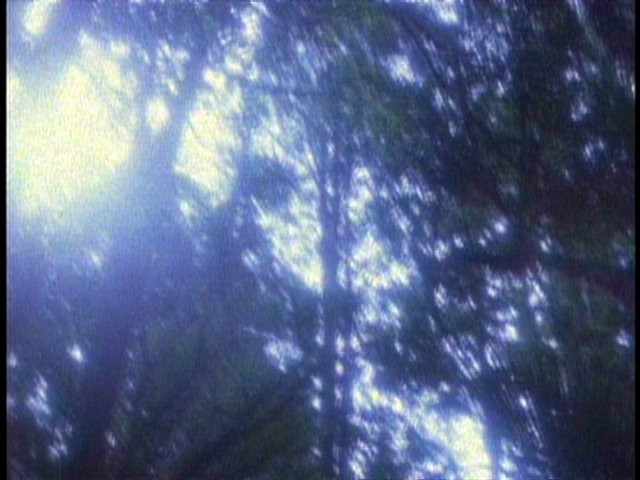 dvd_0001.jpg