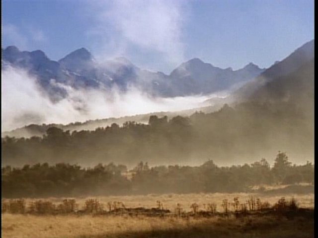 dvd_0002.jpg