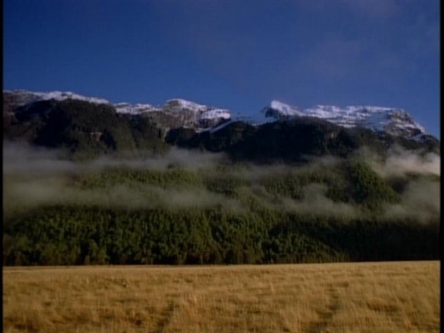 dvd_00029.jpg
