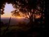 dvd_00059_small.jpg