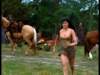dvd_000313_small.jpg