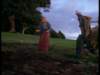 dvd_00095_small.jpg