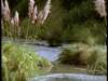 dvd_00036_small.jpg