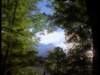 dvd_00044_small.jpg