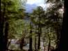 dvd_00045_small.jpg