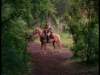 dvd_00057_small.jpg