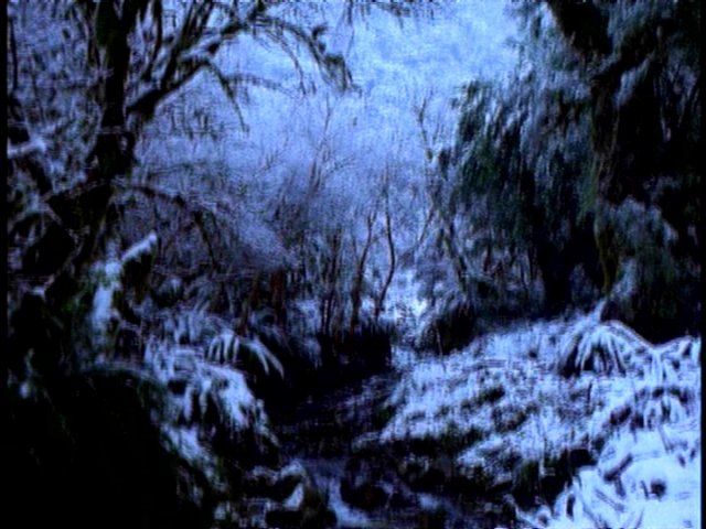 dvd_000106.jpg