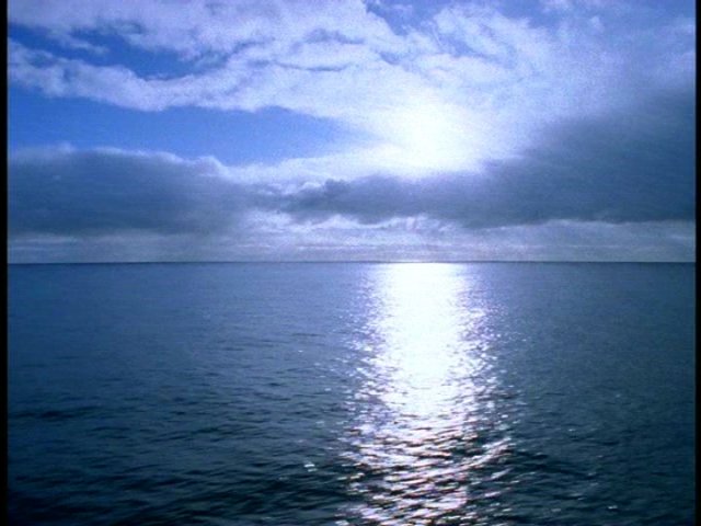 dvd_00089.jpg