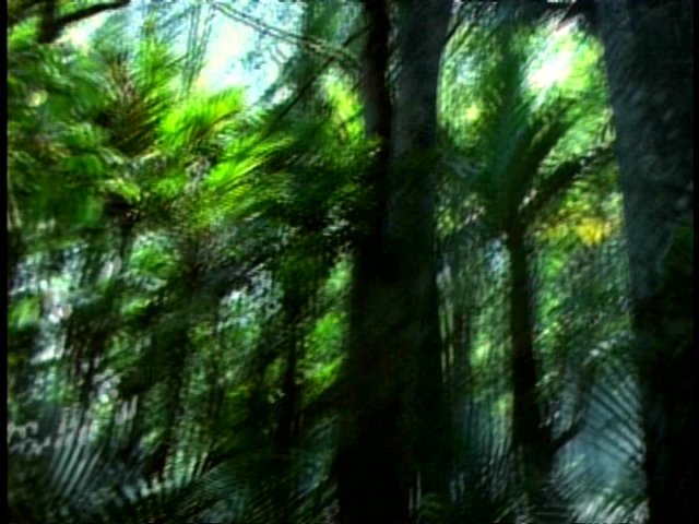 dvd_0002.jpg
