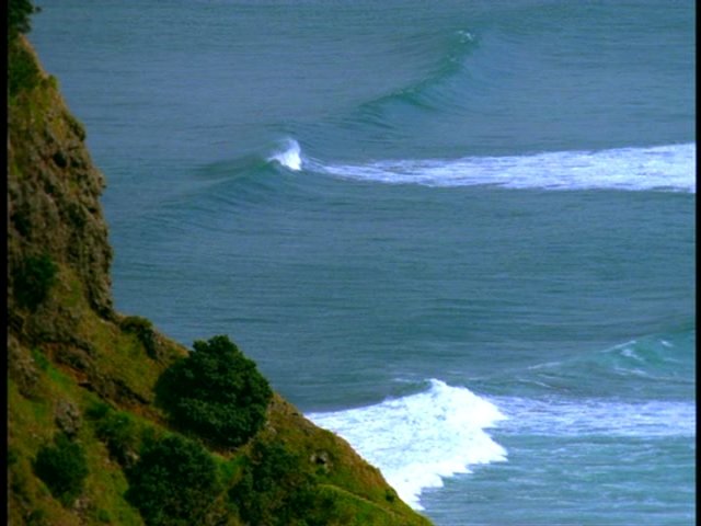 dvd_0002.jpg