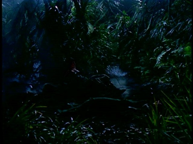 dvd_00036.jpg