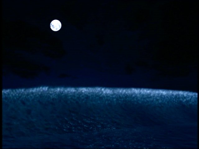 dvd_00079.jpg