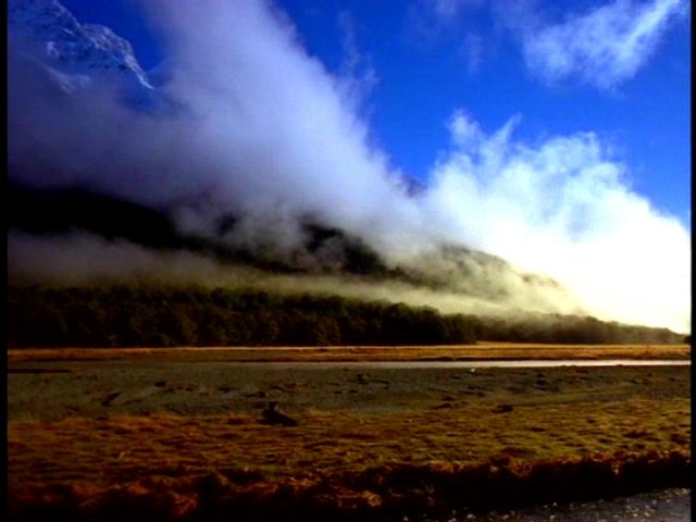 dvd_0002.jpg
