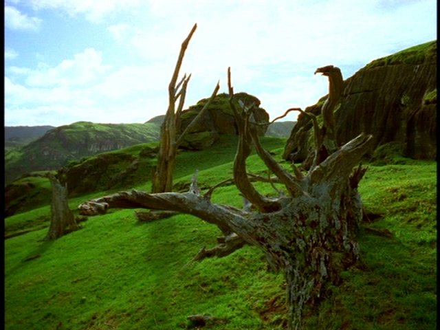 dvd_0007.jpg