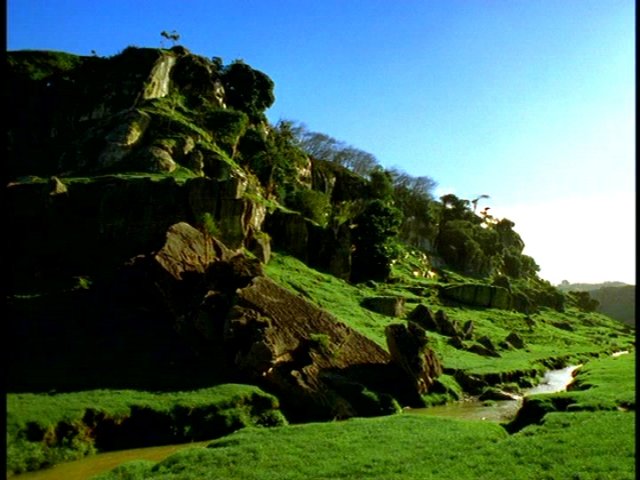 dvd_0009.jpg