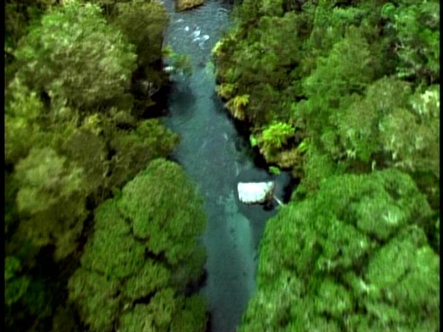 dvd_0003.jpg