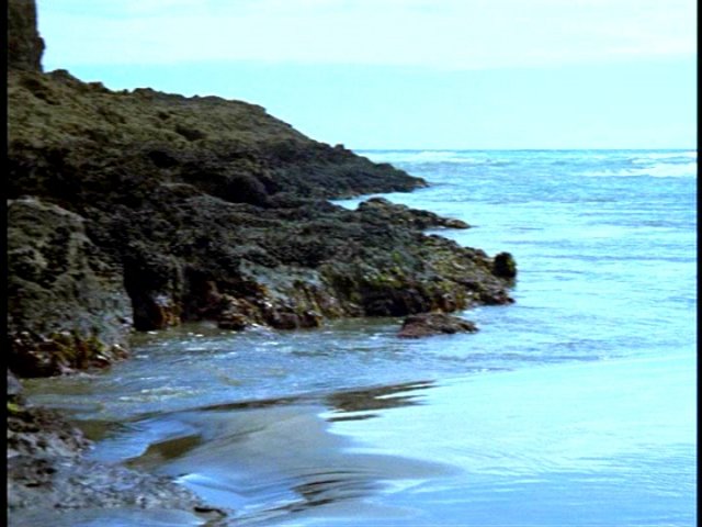 dvd_00028.jpg