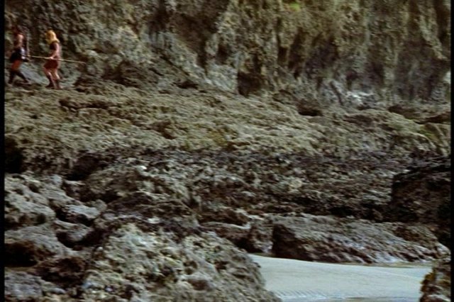pdvd_008.jpg
