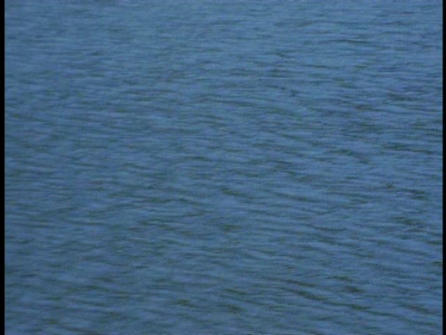 dvd_000118.jpg