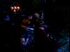 dvd_000140_small.jpg
