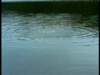 dvd_00057_small.jpg