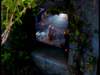dvd_0003_small.jpg