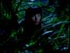dvd_00046_small.jpg