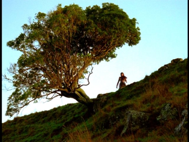 dvd_000124.jpg