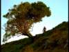 dvd_000124_small.jpg