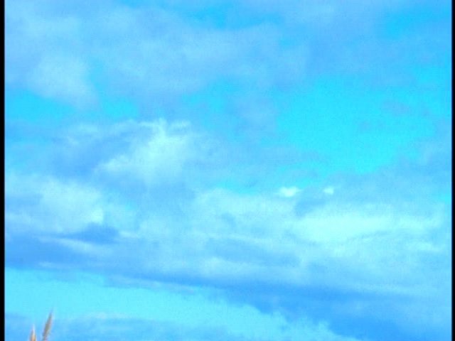 dvd_000152.jpg