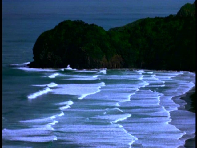 dvd_00020.jpg